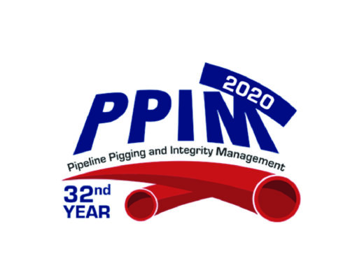 PPIM 2020